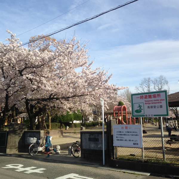 国府宮駅から徒歩5分の高御堂公園の桜