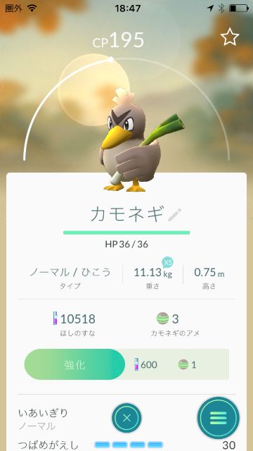 ポケモンGO カモネギ