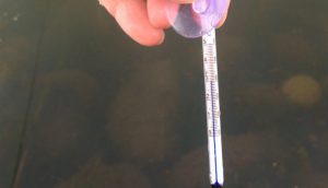 「市の職員かっ！」というツッコミを背中に受けつつ、水温・気温をチェック