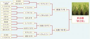由緒正しきコシヒカリの血統