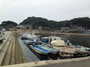 南知多の小佐漁港から和船でベラが釣れました