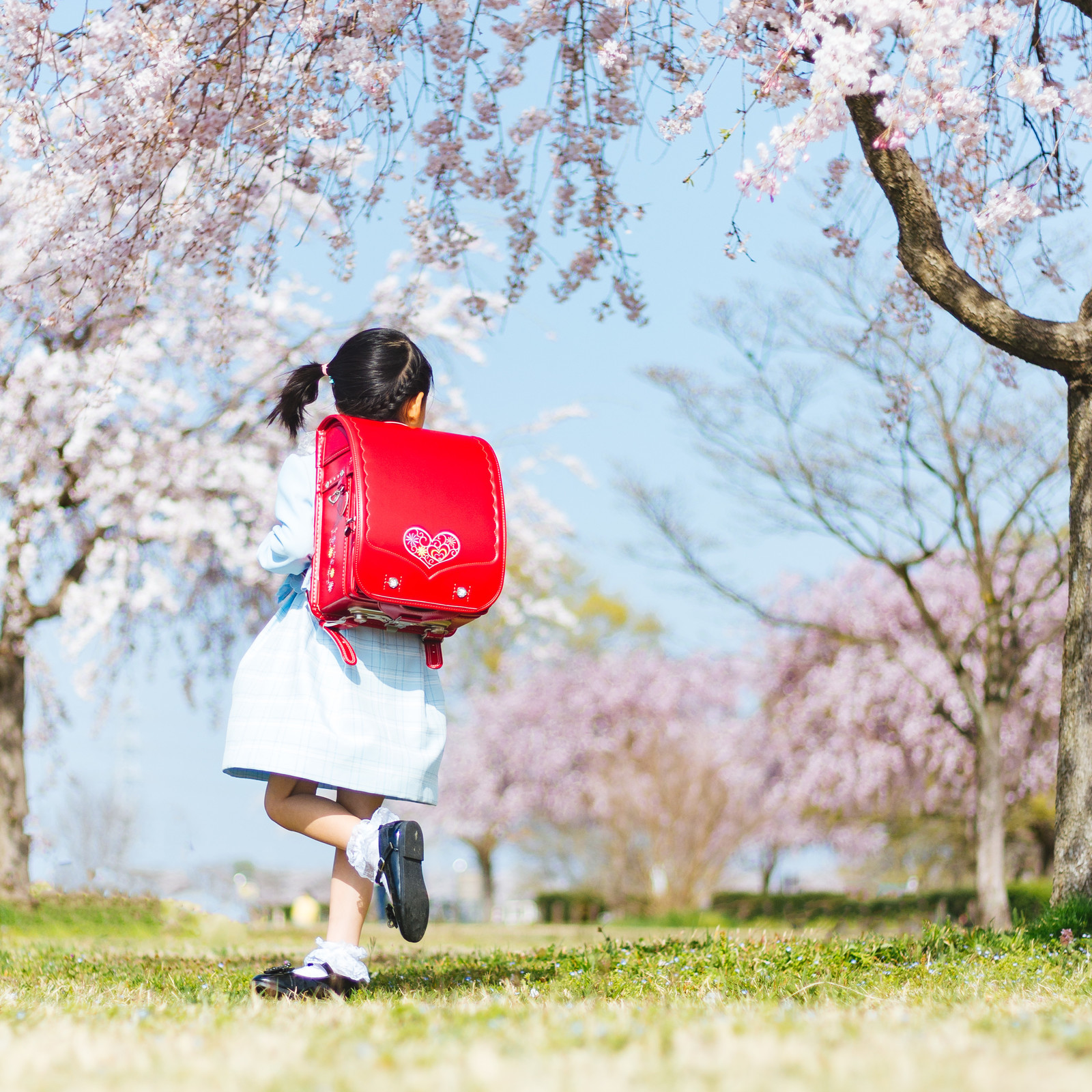 6年間の思い出がいっぱい詰まったランドセル。捨てる？それとも…