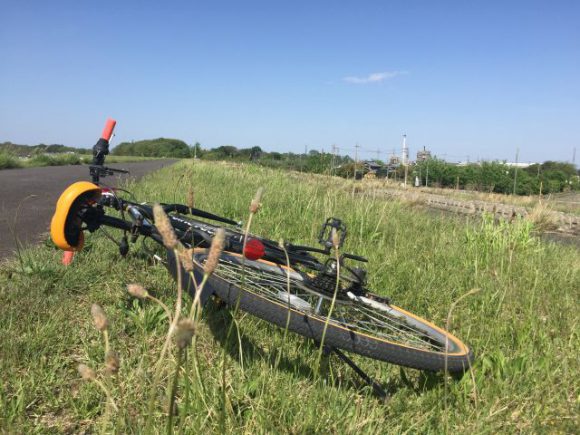 1年ぶりにクロスバイクで木曽川に行ったら、筋肉痛がスゴイんじゃ！