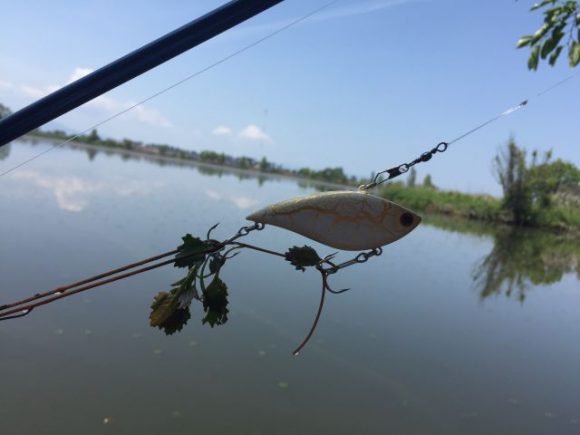 琵琶湖にブラックバス釣りに行きました。琵琶湖、意外と近い