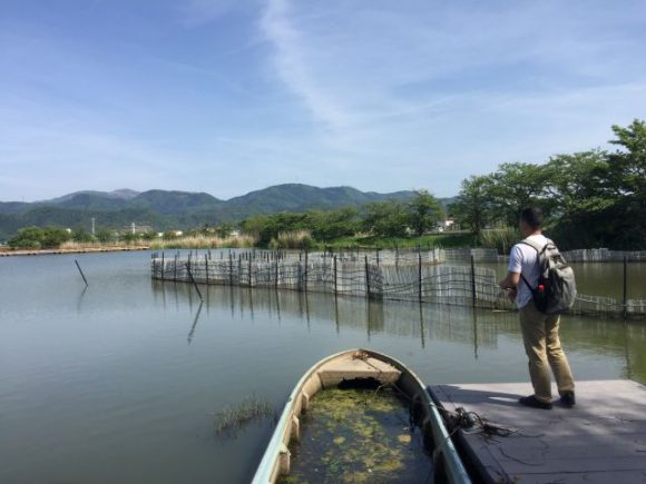 琵琶湖にブラックバス釣りに行きました。琵琶湖、意外と近い