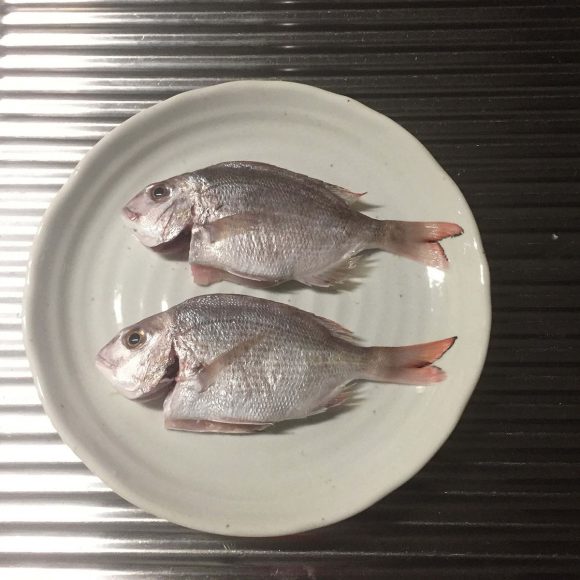 天草で釣れた鯛。塩焼きにしていただきました