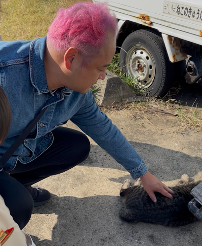 島内の路地を散策したり、名物の猫と触れ合ったりする