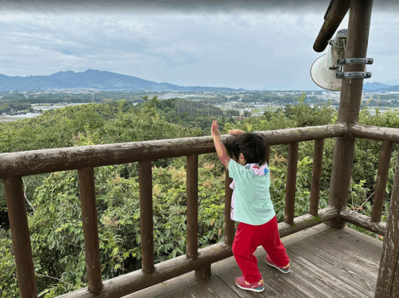 応募したシナリオのあらすじ